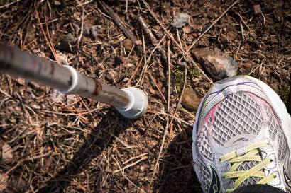 12829084_797826110321698_4168900492361549064_o